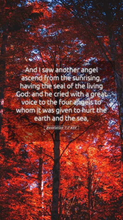 Picture 05 - Revelation 7:2 ASV Mobile Phone Wallpaper - And I saw another angel ascend from the - Mobile Bible Verse Wallpaper