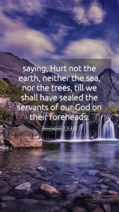 Picture 05 - Revelation 7:3 ASV Mobile Phone Wallpaper - saying, Hurt not the earth, neither the sea, nor - Mobile Bible Verse Wallpaper