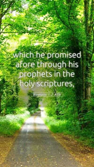 Picture 05 - Romans 1:2 ASV Mobile Phone Wallpaper - which he promised afore through his prophets in - Mobile Bible Verse Wallpaper