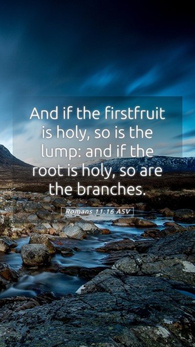 Picture 05 - Romans 11:16 ASV Mobile Phone Wallpaper - And if the firstfruit is holy, so is the lump: - Mobile Bible Verse Wallpaper