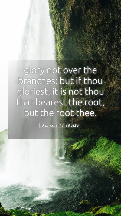 Picture 05 - Romans 11:18 ASV Mobile Phone Wallpaper - glory not over the branches: but if thou - Mobile Bible Verse Wallpaper