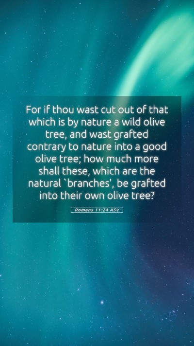 Picture 05 - Romans 11:24 ASV Mobile Phone Wallpaper - For if thou wast cut out of that which is by - Mobile Bible Verse Wallpaper