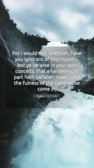 Picture 05 - Romans 11:25 ASV Mobile Phone Wallpaper - For I would not, brethren, have you ignorant of - Mobile Bible Verse Wallpaper