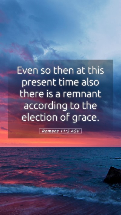 Picture 05 - Romans 11:5 ASV Mobile Phone Wallpaper - Even so then at this present time also there is a - Mobile Bible Verse Wallpaper