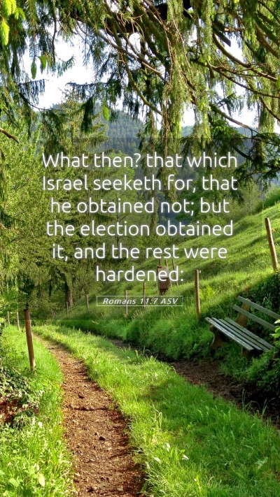 Picture 05 - Romans 11:7 ASV Mobile Phone Wallpaper - What then? that which Israel seeketh for, that he - Mobile Bible Verse Wallpaper