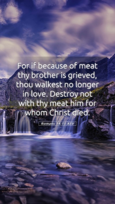 Picture 05 - Romans 14:15 ASV Mobile Phone Wallpaper - For if because of meat thy brother is grieved, - Mobile Bible Verse Wallpaper