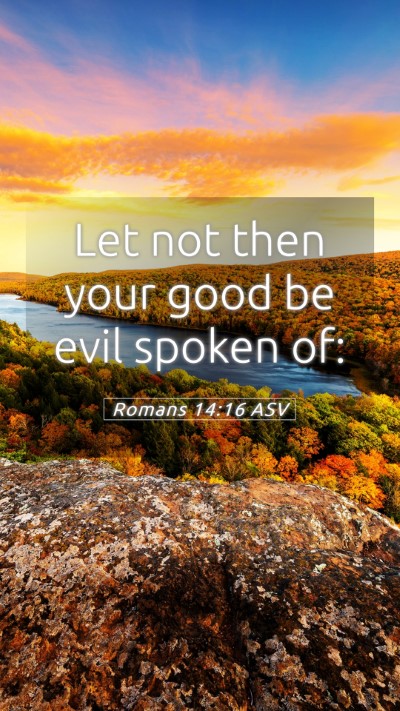Picture 05 - Romans 14:16 ASV Mobile Phone Wallpaper - Let not then your good be evil spoken - Mobile Bible Verse Wallpaper