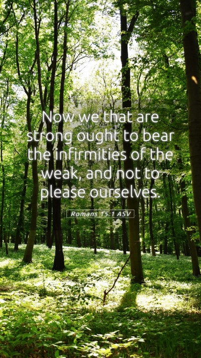 Picture 05 - Romans 15:1 ASV Mobile Phone Wallpaper - Now we that are strong ought to bear the - Mobile Bible Verse Wallpaper
