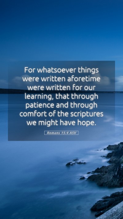 Picture 05 - Romans 15:4 ASV Mobile Phone Wallpaper - For whatsoever things were written aforetime were - Mobile Bible Verse Wallpaper