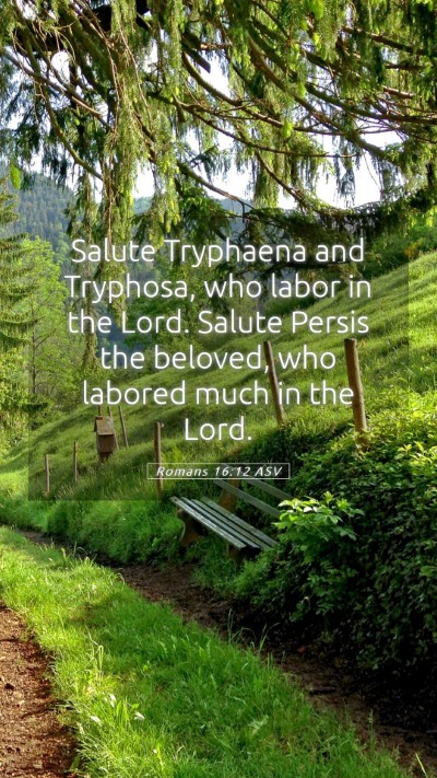 Picture 05 - Romans 16:12 ASV Mobile Phone Wallpaper - Salute Tryphaena and Tryphosa, who labor in the - Mobile Bible Verse Wallpaper