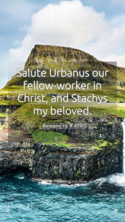 Picture 05 - Romans 16:9 ASV Mobile Phone Wallpaper - Salute Urbanus our fellow-worker in Christ, and - Mobile Bible Verse Wallpaper