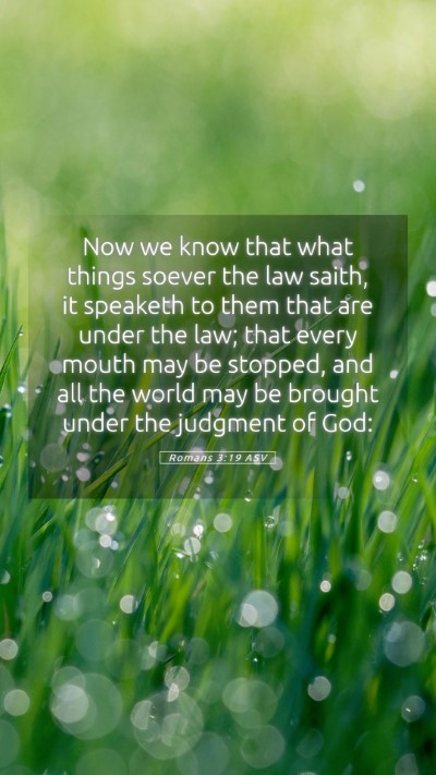 Picture 05 - Romans 3:19 ASV Mobile Phone Wallpaper - Now we know that what things soever the law - Mobile Bible Verse Wallpaper