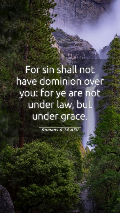 Picture 05 - Romans 6:14 ASV Mobile Phone Wallpaper - For sin shall not have dominion over you: for ye - Mobile Bible Verse Wallpaper