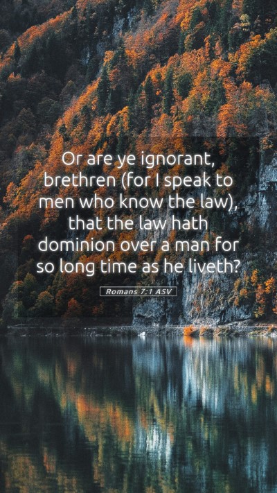 Picture 05 - Romans 7:1 ASV Mobile Phone Wallpaper - Or are ye ignorant, brethren (for I speak to men - Mobile Bible Verse Wallpaper