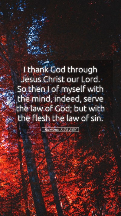 Picture 05 - Romans 7:25 ASV Mobile Phone Wallpaper - I thank God through Jesus Christ our Lord. So - Mobile Bible Verse Wallpaper