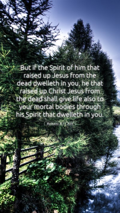 Picture 05 - Romans 8:11 ASV Mobile Phone Wallpaper - But if the Spirit of him that raised up Jesus - Mobile Bible Verse Wallpaper