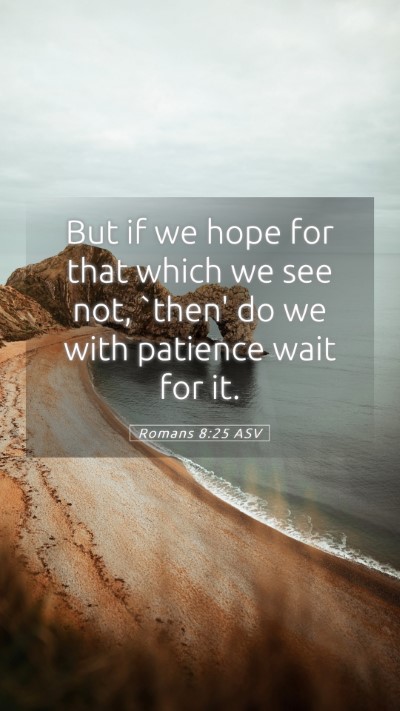 Picture 05 - Romans 8:25 ASV Mobile Phone Wallpaper - But if we hope for that which we see not, `then' - Mobile Bible Verse Wallpaper