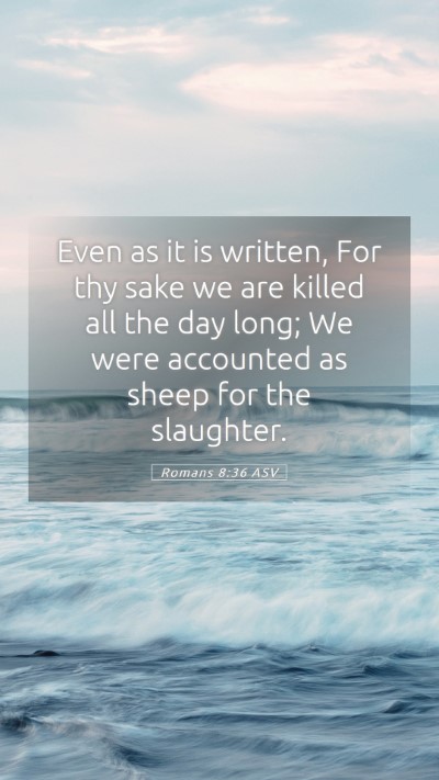 Picture 05 - Romans 8:36 ASV Mobile Phone Wallpaper - Even as it is written, For thy sake we are killed - Mobile Bible Verse Wallpaper