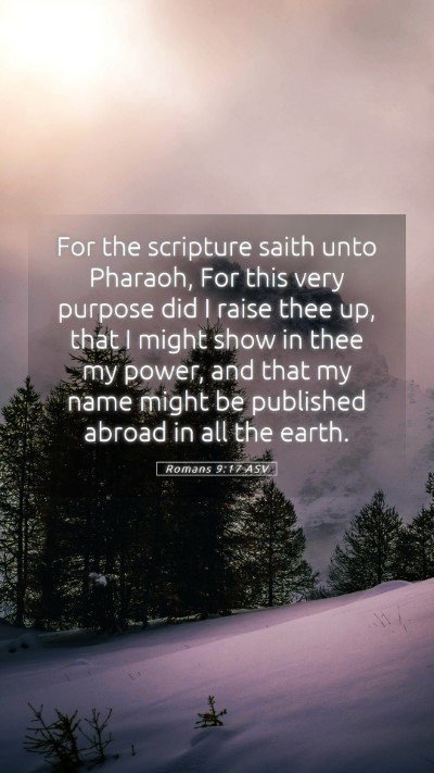 Picture 05 - Romans 9:17 ASV Mobile Phone Wallpaper - For the scripture saith unto Pharaoh, For this - Mobile Bible Verse Wallpaper