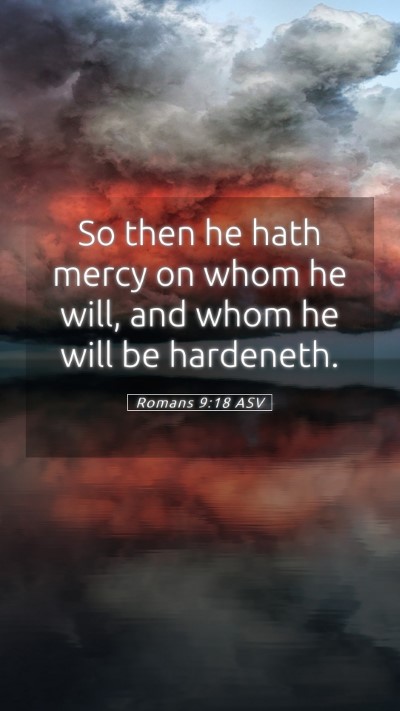 Picture 05 - Romans 9:18 ASV Mobile Phone Wallpaper - So then he hath mercy on whom he will, and whom - Mobile Bible Verse Wallpaper