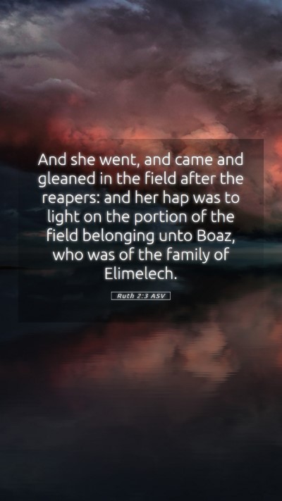 Picture 05 - Ruth 2:3 ASV Mobile Phone Wallpaper - And she went, and came and gleaned in the field - Mobile Bible Verse Wallpaper