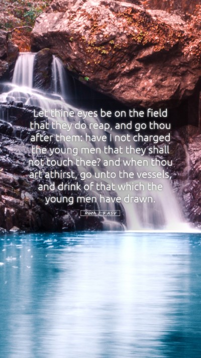 Picture 05 - Ruth 2:9 ASV Mobile Phone Wallpaper - Let thine eyes be on the field that they do reap, - Mobile Bible Verse Wallpaper