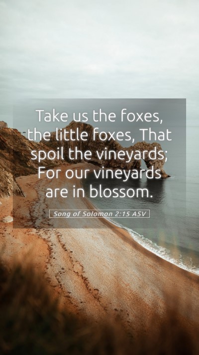 Picture 05 - Song of Solomon 2:15 ASV Mobile Phone Wallpaper - Take us the foxes, the little foxes, That spoil - Mobile Bible Verse Wallpaper