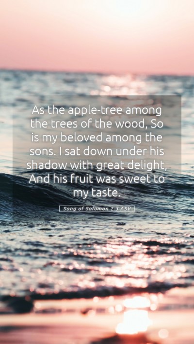 Picture 05 - Song of Solomon 2:3 ASV Mobile Phone Wallpaper - As the apple-tree among the trees of the wood, So - Mobile Bible Verse Wallpaper