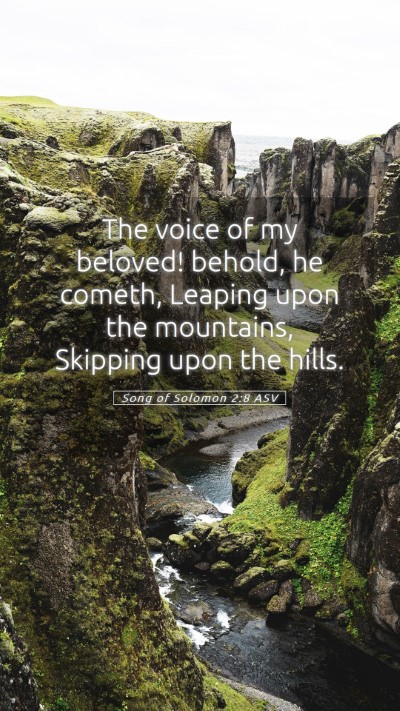 Picture 05 - Song of Solomon 2:8 ASV Mobile Phone Wallpaper - The voice of my beloved! behold, he cometh, - Mobile Bible Verse Wallpaper