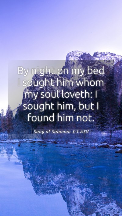 Picture 05 - Song of Solomon 3:1 ASV Mobile Phone Wallpaper - By night on my bed I sought him whom my soul - Mobile Bible Verse Wallpaper