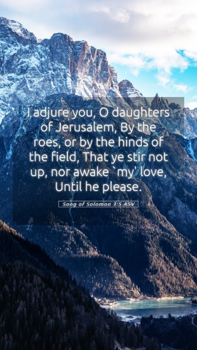 Picture 05 - Song of Solomon 3:5 ASV Mobile Phone Wallpaper - I adjure you, O daughters of Jerusalem, By the - Mobile Bible Verse Wallpaper