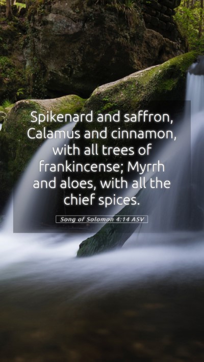 Picture 05 - Song of Solomon 4:14 ASV Mobile Phone Wallpaper - Spikenard and saffron, Calamus and cinnamon, with - Mobile Bible Verse Wallpaper