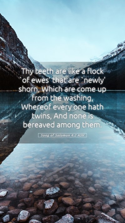 Picture 05 - Song of Solomon 4:2 ASV Mobile Phone Wallpaper - Thy teeth are like a flock `of ewes' that are - Mobile Bible Verse Wallpaper