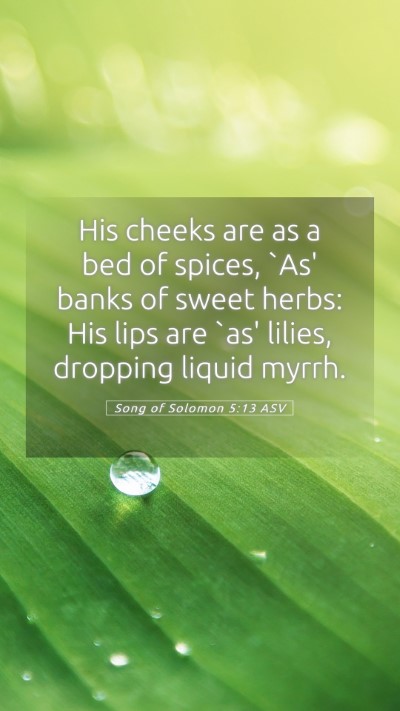 Picture 05 - Song of Solomon 5:13 ASV Mobile Phone Wallpaper - His cheeks are as a bed of spices, `As' banks of - Mobile Bible Verse Wallpaper