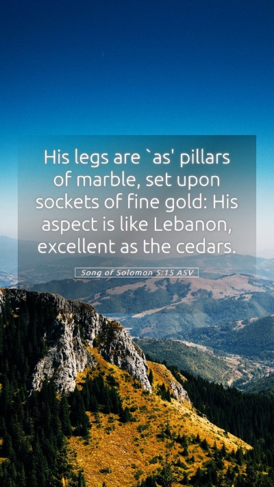 Picture 05 - Song of Solomon 5:15 ASV Mobile Phone Wallpaper - His legs are `as' pillars of marble, set upon - Mobile Bible Verse Wallpaper