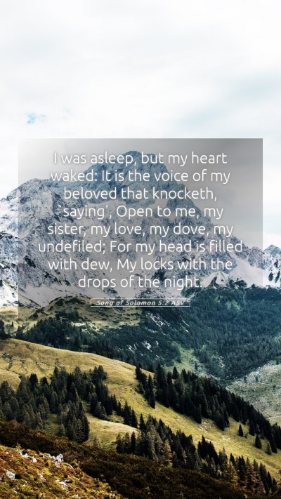 Picture 05 - Song of Solomon 5:2 ASV Mobile Phone Wallpaper - I was asleep, but my heart waked: It is the voice - Mobile Bible Verse Wallpaper