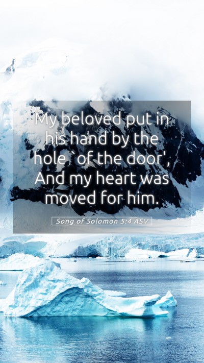 Picture 05 - Song of Solomon 5:4 ASV Mobile Phone Wallpaper - My beloved put in his hand by the hole `of the - Mobile Bible Verse Wallpaper