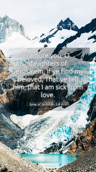 Picture 05 - Song of Solomon 5:8 ASV Mobile Phone Wallpaper - I adjure you, O daughters of Jerusalem, If ye - Mobile Bible Verse Wallpaper