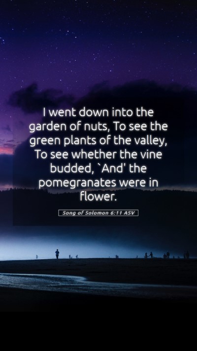 Picture 05 - Song of Solomon 6:11 ASV Mobile Phone Wallpaper - I went down into the garden of nuts, To see the - Mobile Bible Verse Wallpaper
