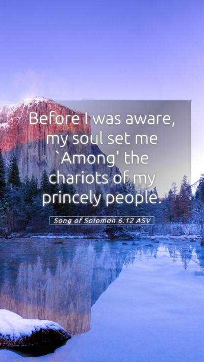 Picture 05 - Song of Solomon 6:12 ASV Mobile Phone Wallpaper - Before I was aware, my soul set me `Among' the - Mobile Bible Verse Wallpaper