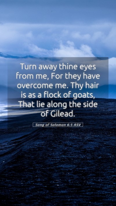 Picture 05 - Song of Solomon 6:5 ASV Mobile Phone Wallpaper - Turn away thine eyes from me, For they have - Mobile Bible Verse Wallpaper