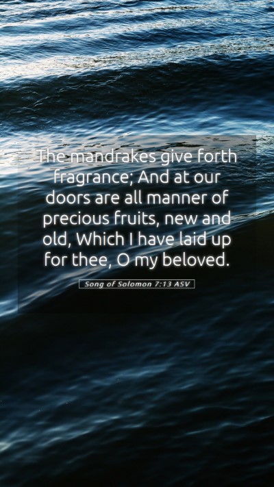 Picture 05 - Song of Solomon 7:13 ASV Mobile Phone Wallpaper - The mandrakes give forth fragrance; And at our - Mobile Bible Verse Wallpaper