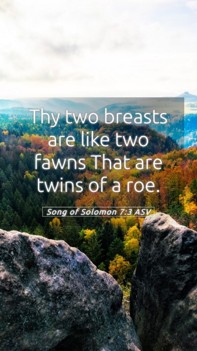 Picture 05 - Song of Solomon 7:3 ASV Mobile Phone Wallpaper - Thy two breasts are like two fawns That are twins - Mobile Bible Verse Wallpaper