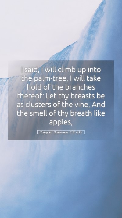 Picture 05 - Song of Solomon 7:8 ASV Mobile Phone Wallpaper - I said, I will climb up into the palm-tree, I - Mobile Bible Verse Wallpaper