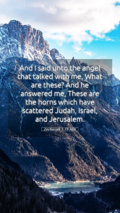Picture 05 - Zechariah 1:19 ASV Mobile Phone Wallpaper - And I said unto the angel that talked with me, - Mobile Bible Verse Wallpaper
