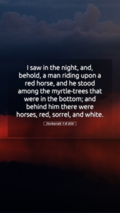 Picture 05 - Zechariah 1:8 ASV Mobile Phone Wallpaper - I saw in the night, and, behold, a man riding - Mobile Bible Verse Wallpaper