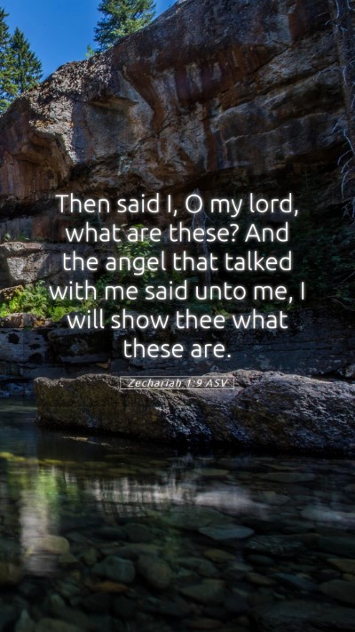 Picture 05 - Zechariah 1:9 ASV Mobile Phone Wallpaper - Then said I, O my lord, what are these? And the - Mobile Bible Verse Wallpaper