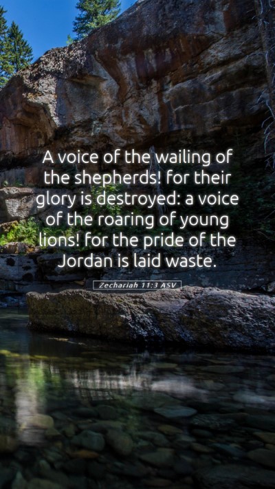Picture 05 - Zechariah 11:3 ASV Mobile Phone Wallpaper - A voice of the wailing of the shepherds! for - Mobile Bible Verse Wallpaper