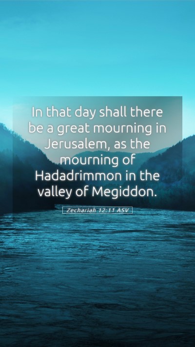 Picture 05 - Zechariah 12:11 ASV Mobile Phone Wallpaper - In that day shall there be a great mourning in - Mobile Bible Verse Wallpaper