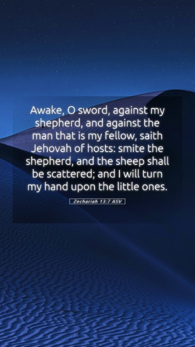 Picture 05 - Zechariah 13:7 ASV Mobile Phone Wallpaper - Awake, O sword, against my shepherd, and against - Mobile Bible Verse Wallpaper